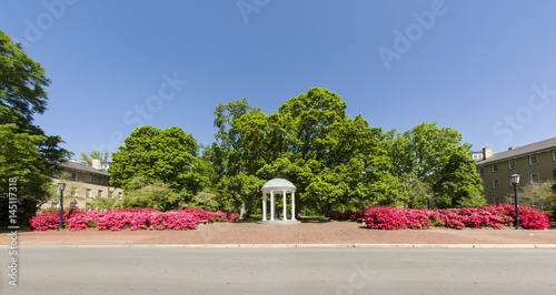 Panorama of gorgeous deep pink azaleas in front of the old well photo