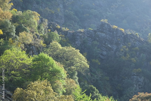 Mountains of Serra da Lousa forest. Coimbra  Portugal