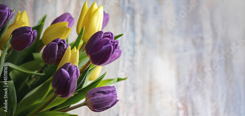 Fototapeta Naklejka Na Ścianę i Meble -  Tulpen