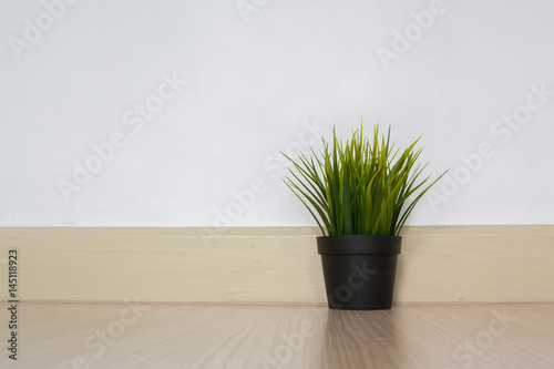 plant in flower pot on shelf against rustic wooden wall