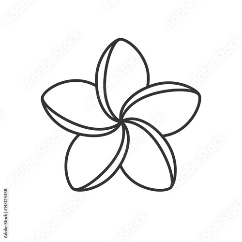 Spa salon plumeria flower linear icon