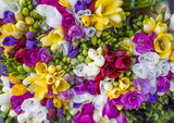 colorful bouquet of freesia photographed from above