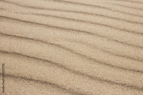 Sand ripples forming a wave pattern in beach sand