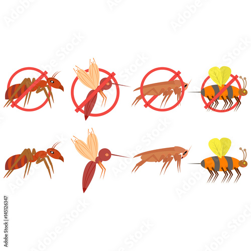 Insect pests vector. Mosquito, cockroach, ant, hornet, gnat and pest. illustration and clipart. Prohibition sign. 