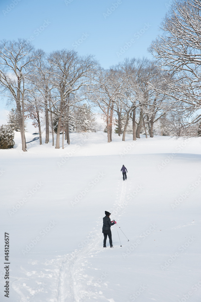 people cross country skiing in snow