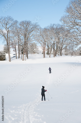 Obraz na płótnie people cross country skiing in snow w salonie