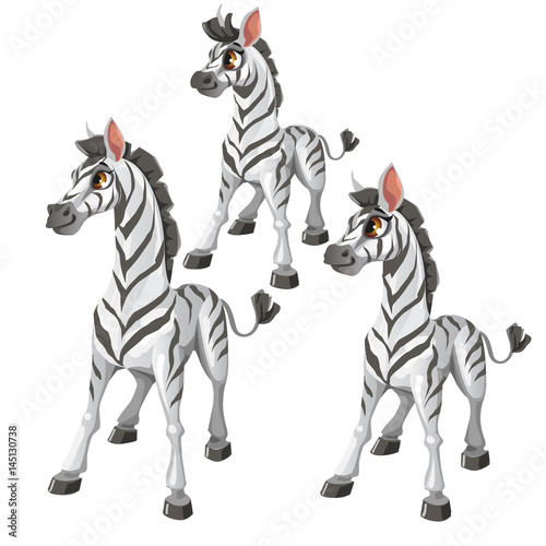 Cartoon Zebra on white background. Vector animal © Lady-Luck