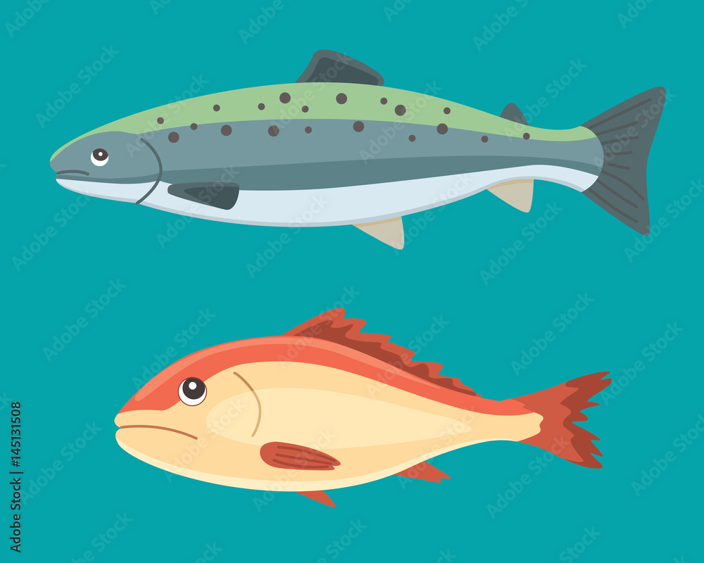 seafood vector black and white vintage illustration of salmon fish. Isolated object.