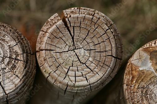 wooden columns