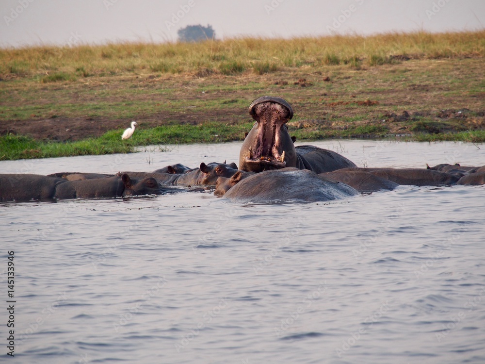 Fototapeta premium Botswana