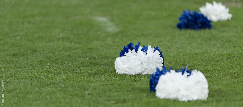 Blue and white cheerleading spirit pom poms on grass field Stock