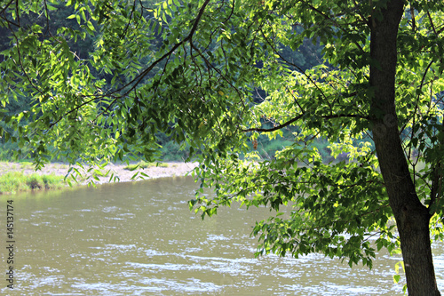 Camping on the Zumbra River, Minnesota