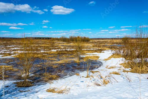 Spring landscape in the Central part of Russia.