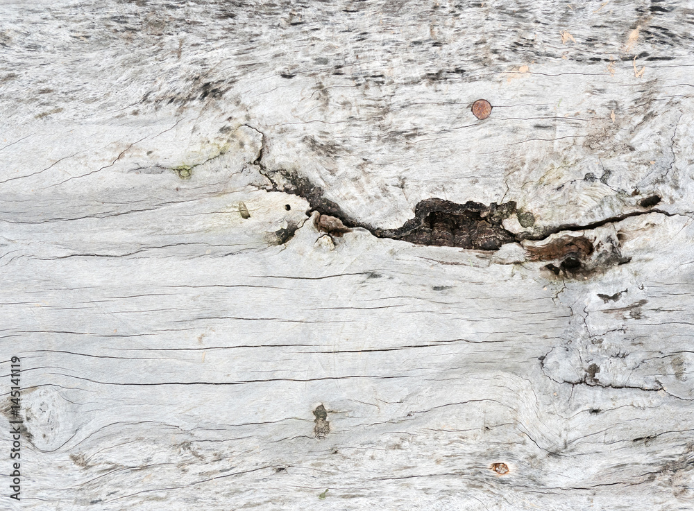Natural wood surface, white color, backgrounds and textures