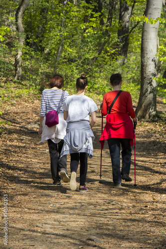 Three young girls walking in spring forest
