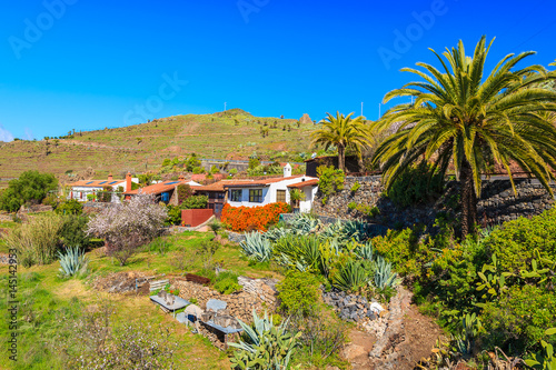 Colorful houses of Targa village in tropical mountain landscape of La Gomera island, Spain © pkazmierczak