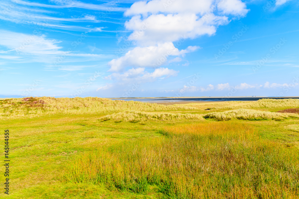 Green meadow in countryside landscape of Sylt island near List village, Germany Green meadow in countryside landscape of Sylt island near List village, Germany
