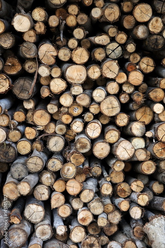 Pile of tree logs