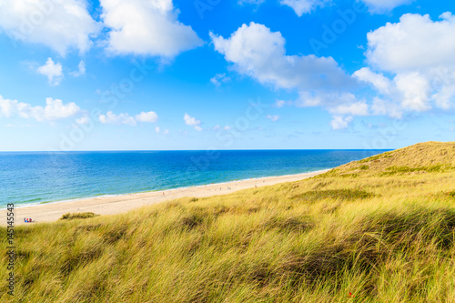 Grass sand dune and beautiful beach view with sunny clouds on sky, Sylt island, Germany