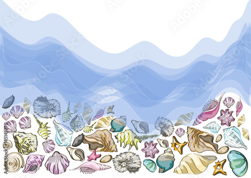 Summer design, background with different sea shells vector