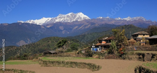 Fields and snow capped Annapurna range. Scene on the way to Ghale Gaun, Nepal. photo