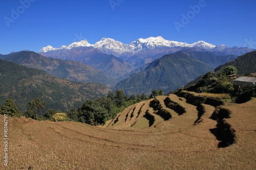 Terraced rice fields and snow capped Manaslu range, Nepal. photo