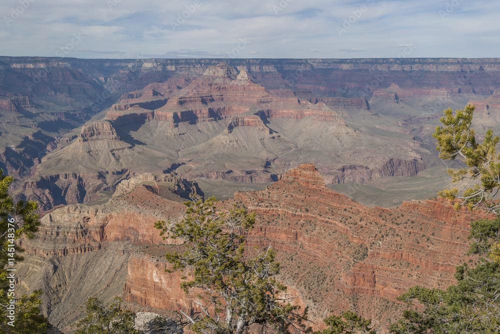 The Edge of Wonder.