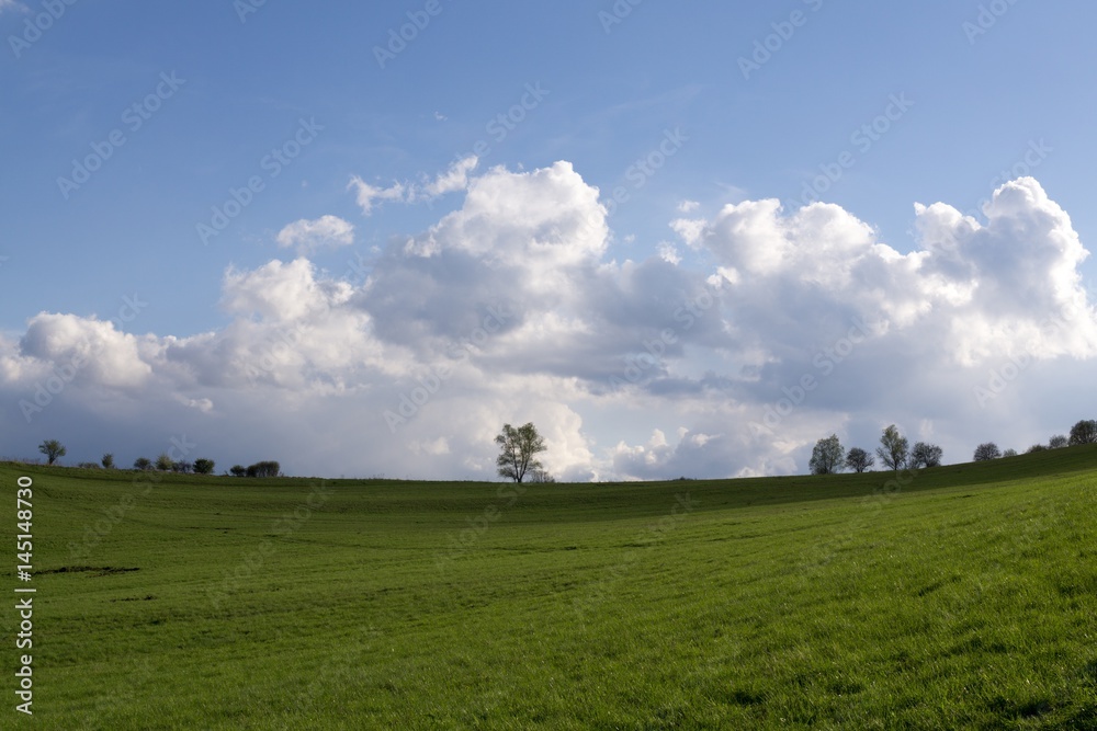Meadow with trees on a horizon. Slovakia Meadow with trees on a horizon. Slovakia