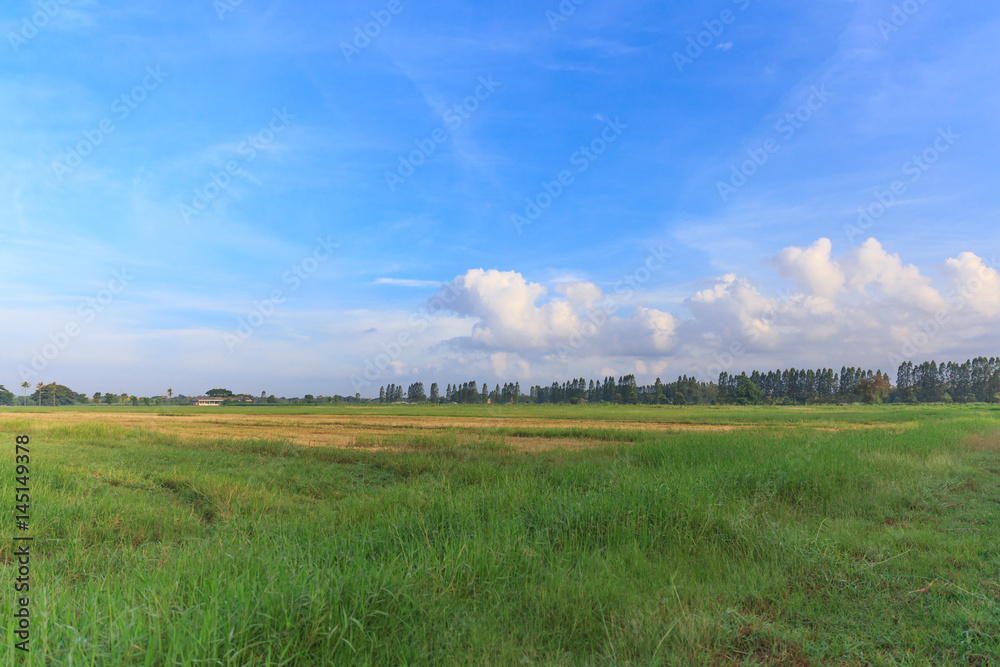 Beautiful green field with blue sky for background. Beautiful green field with blue sky for background.