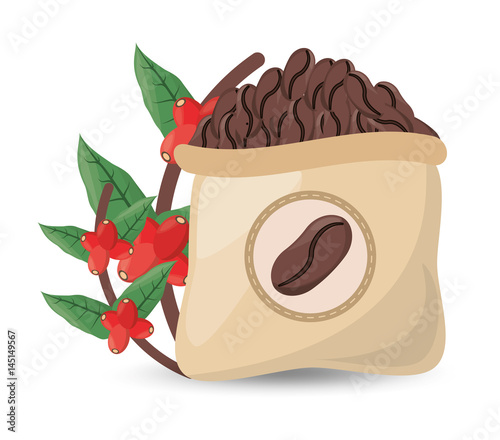 coffee roasted sac tree design vector illustration eps 10