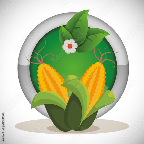 corn cob grain fresh label vector illustration eps 10