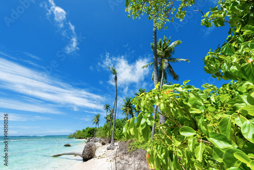 Fototapeta Naklejka Na Ścianę i Meble -  Beautiful white sand tropical beach with palm trees. Copy space.