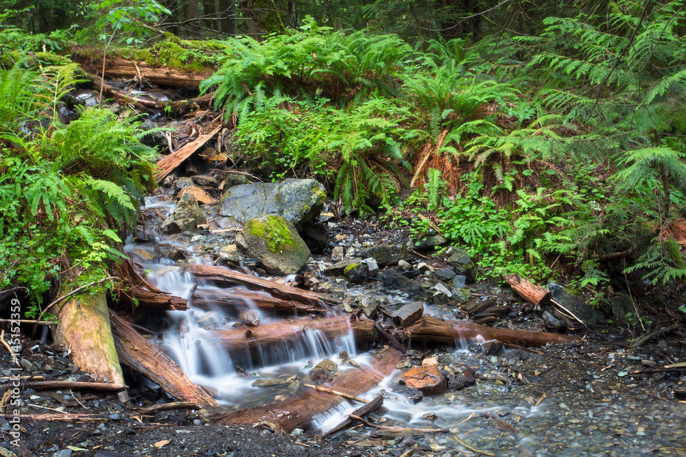 Obraz premium Waterfall in British Columbia in Canada 