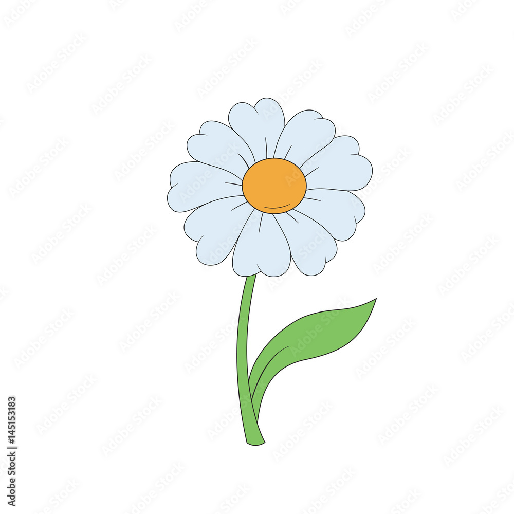 Cartoon daisy. Simple flower on white background. Stock Illustration |  Adobe Stock
