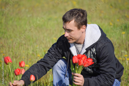 A man in a jacket on a field of tulips. Glade with tulips. A man is tearing tulips in a bouquet photo