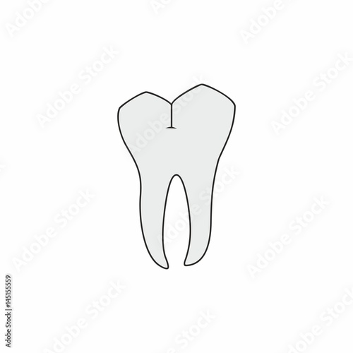 Molar tooth vector design isolated on white background