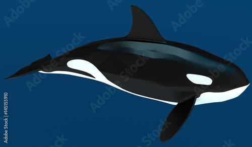 A model of a stylized killer whale. 3D illustration.