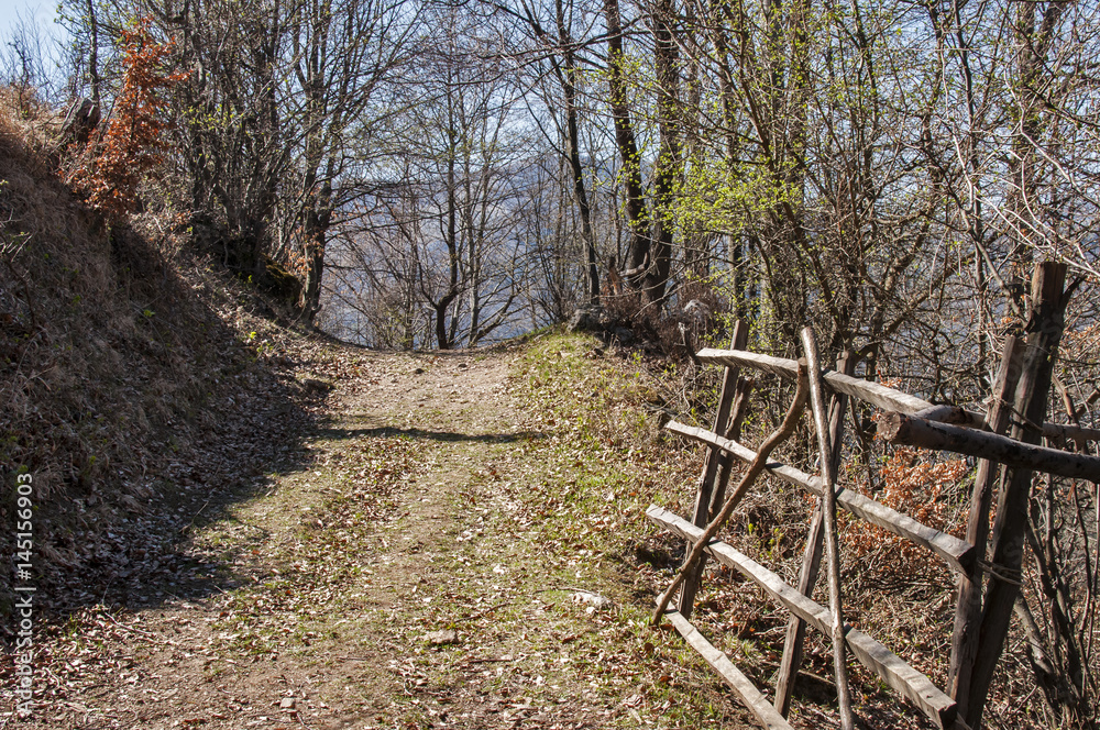 Picturesque forest mountain road with wooden gate closeup in early sunny springtime day