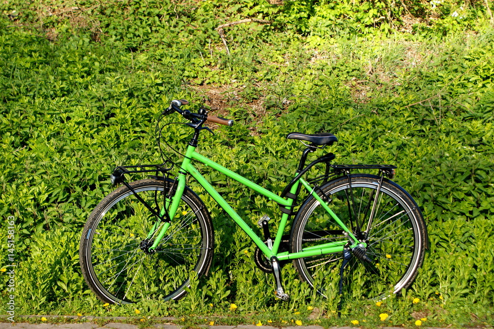 Fahrrad im Grünen