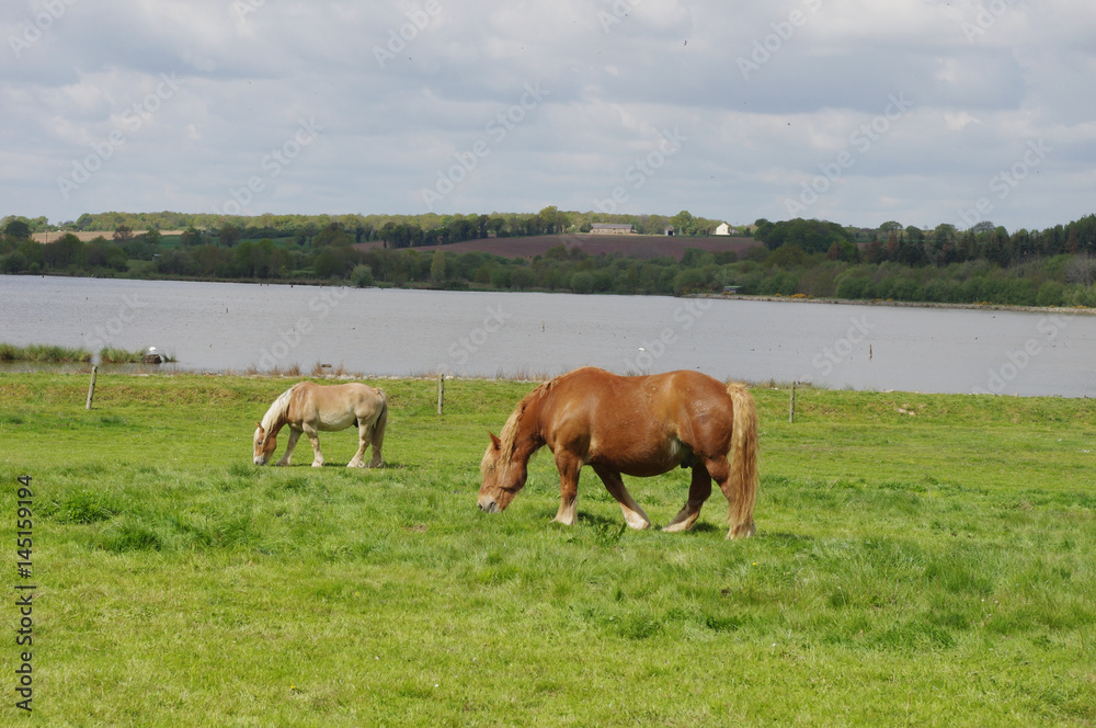 Paysage d'un espace naturel