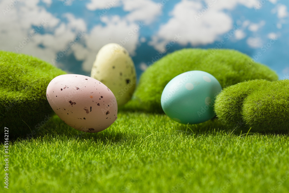 Fototapeta premium Easter eggs on the grass