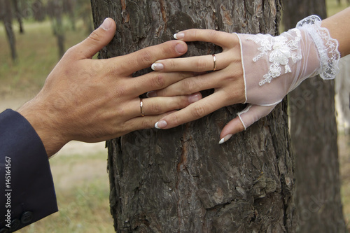 Wedding rings. Happy wedding day. The newlyweds. Hands of lovers on the background of a tree with wedding rings. Romance