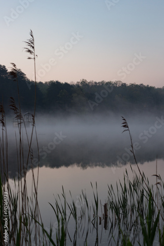 Foggy Morning at the Lake photo