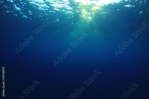 Fototapeta Naklejka Na Ścianę i Meble -  Underwater 
