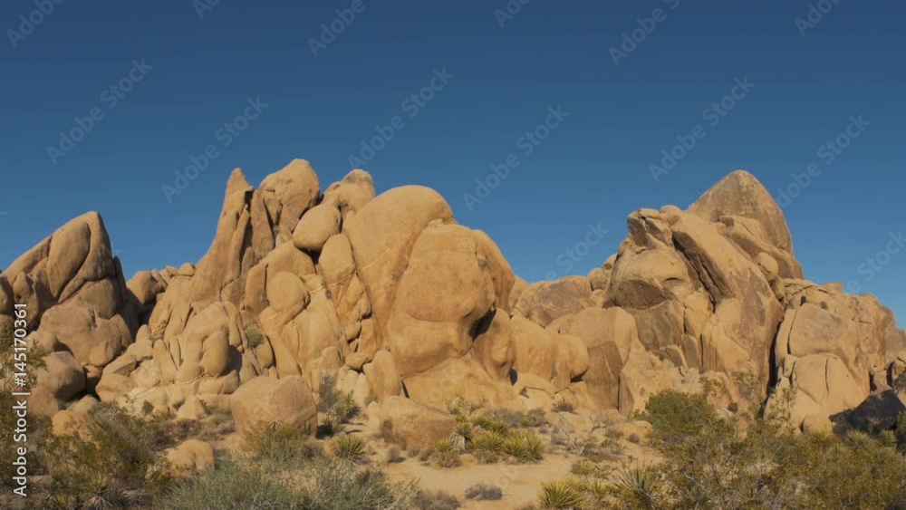 Joshua Tree Rocky Landscape Panning Shot Joshua Tree Rocky Landscape Panning Shot