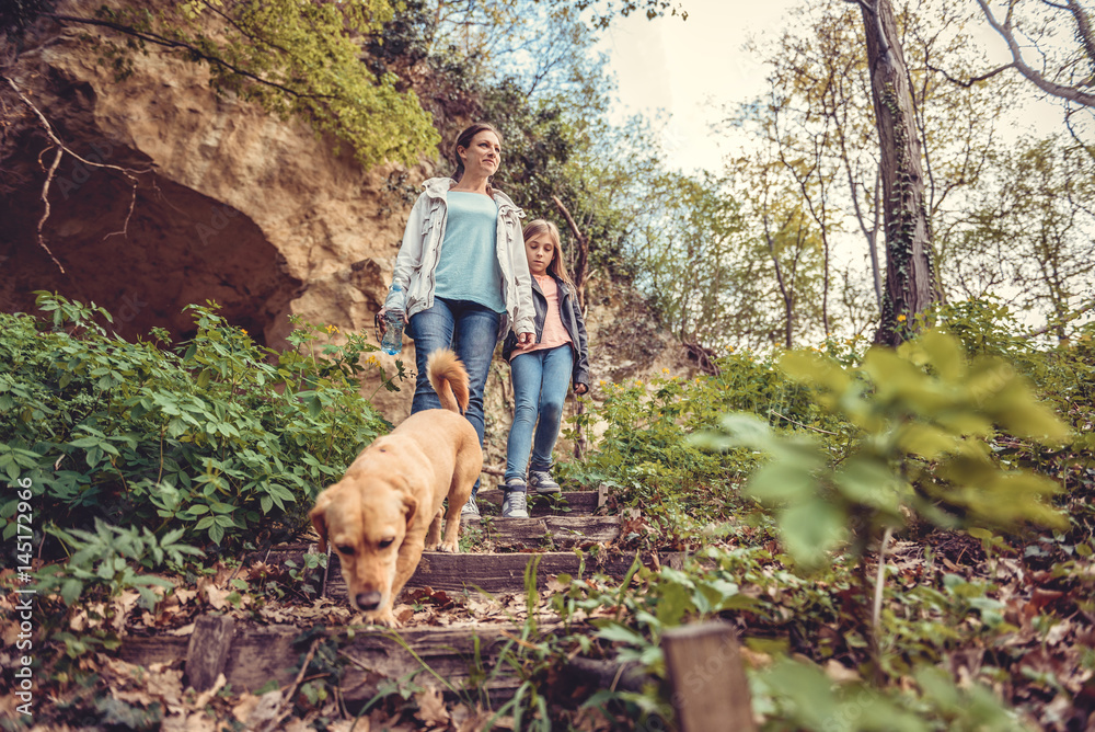 Family walking in forest with a dog Family walking in forest with a dog