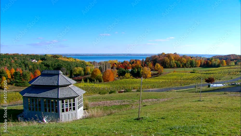 Upper Michigan Vineyard Lakeview Upper Michigan Vineyard Lakeview