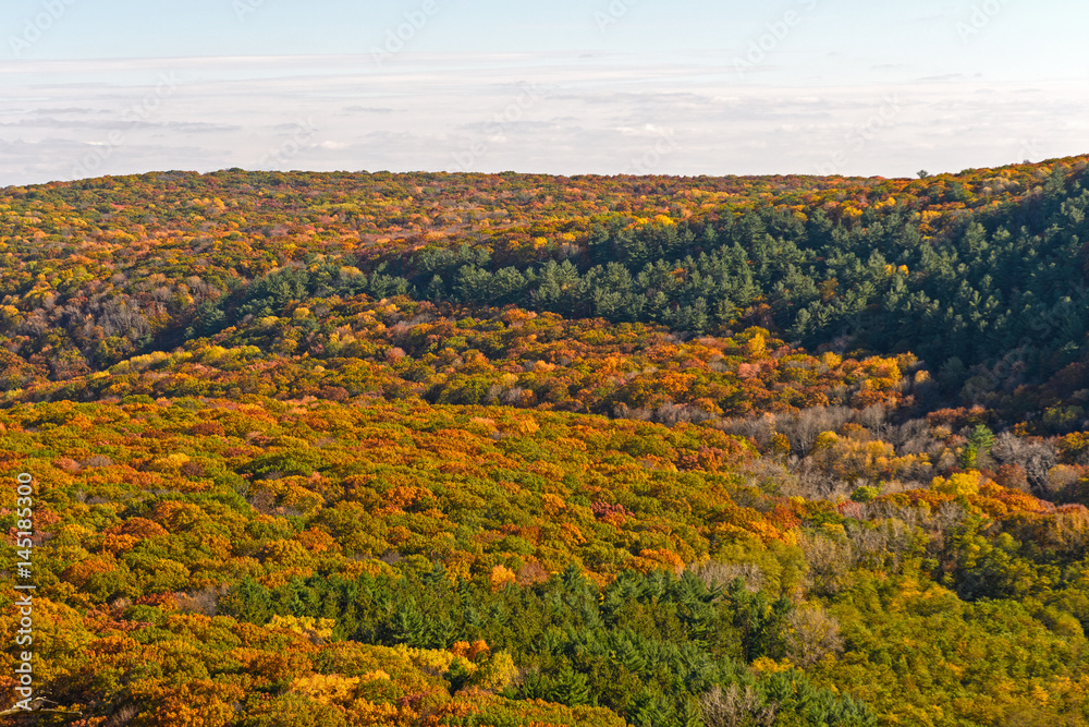 Fall Panorama from a Cliffside