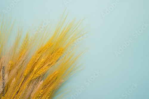 Spikelets on background