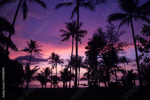 Beautiful coconut beach sunrise with purple sky in Thailand. 